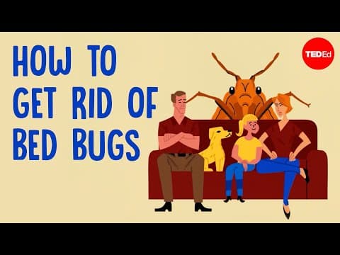 Why Is It So Hard to Get Rid of Bed Bugs?