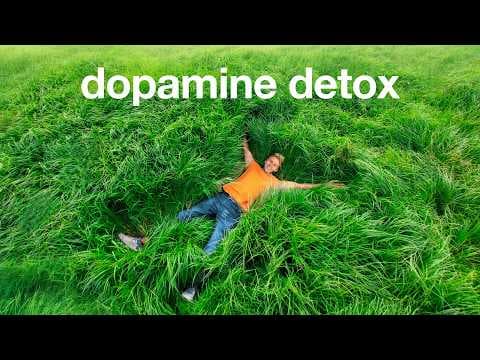 How Dopamine, Phone Habits and Small Steps Shape Your Attention