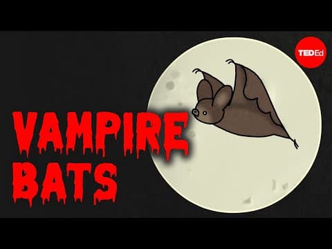 Are Vampire Bats Dangerous?