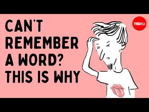 What Happens in Your Brain When You Can’t Recall a Word